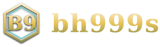 bh999s logo